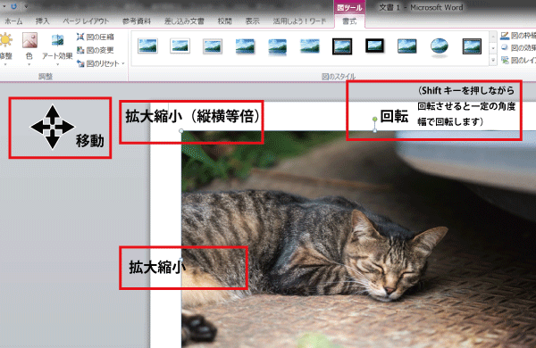 ワードでの印刷方法