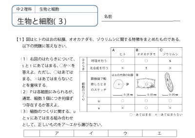 中２理科 練習問題プリント　無料ダウンロード・印刷