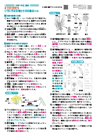 中学１年生 理科 【要点まとめシート集】　 無料ダウンロード・印刷