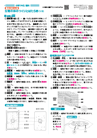中学２年生 理科 【要点まとめシート集】　 無料ダウンロード・印刷