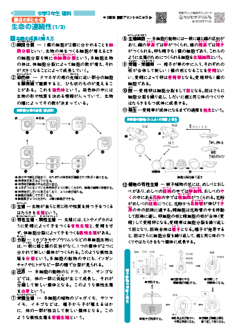 中学３年生 理科 【要点まとめシート集】　 無料ダウンロード・印刷