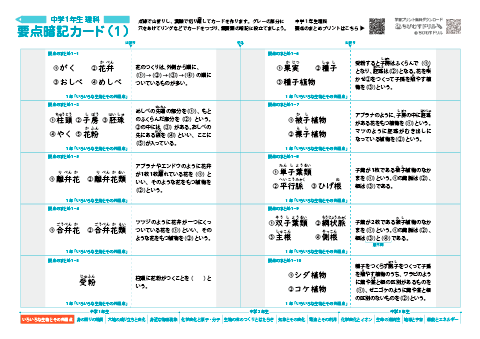 中学１年生 理科 【要点暗記カード集】　 無料ダウンロード・印刷