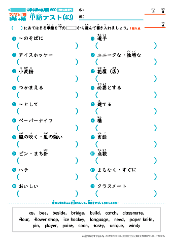 中学中級 英単語(600語) 和英テスト［ランダム出題］(43)