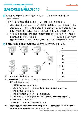 中学３年生 理科 【生物の成長とふえ方】 練習問題プリント　無料ダウンロード・印刷