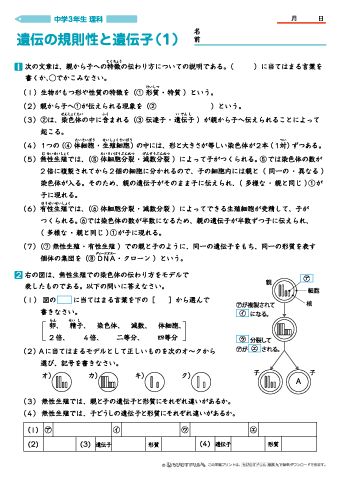 中学３年生 理科 【遺伝の規則性と遺伝子】 練習問題プリント　無料ダウンロード・印刷