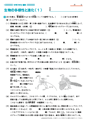 中学３年生 理科 【生物の多様性と進化】 練習問題プリント　無料ダウンロード・印刷