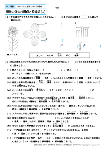 中学１年生 理科　【植物の体の共通点と相違点】　練習問題プリント 無料ダウンロード・印刷