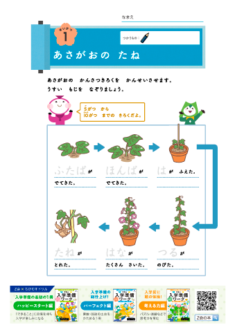 【Z会の入学準備ワーク・パーフェクト編】＜国語・算数・生活＞あさがお・ひらがな・論理的思考力・数・時計・形