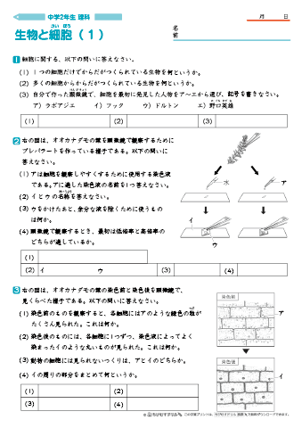 中学２年生 理科 【生物と細胞】 練習問題プリント　無料ダウンロード・印刷