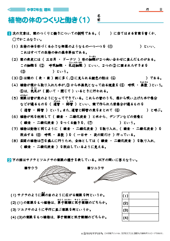 中学２年生 理科 【植物の体のつくりと働き】 練習問題プリント　無料ダウンロード・印刷