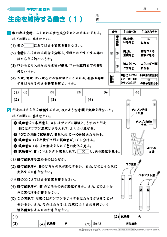 中学２年生 理科 【生命を維持する働き】 練習問題プリント　無料ダウンロード・印刷