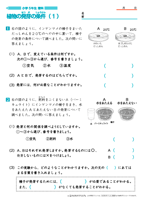 小学５年生理科 【植物の発芽の条件】 問題プリント