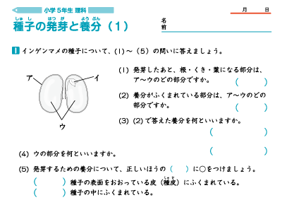 小学生理科練習問題プリント