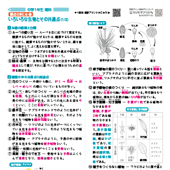 中学１年生 理科 要点まとめシート集