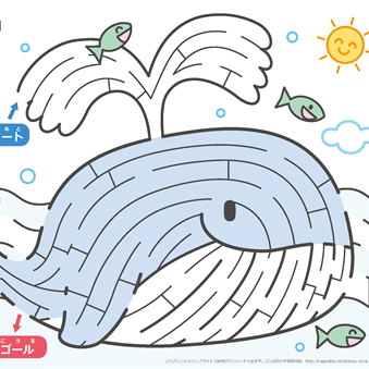 迷路【動物｜生き物】