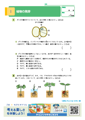 【小学５年 理科】植物の発芽・雲と天気の変化・ふりこの運動｜Z会グレードアップ問題集