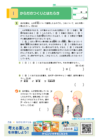 【小学６年 理科】体のつくりとはたらき・てこのはたらき・月の動きと太陽｜Z会グレードアップ問題集